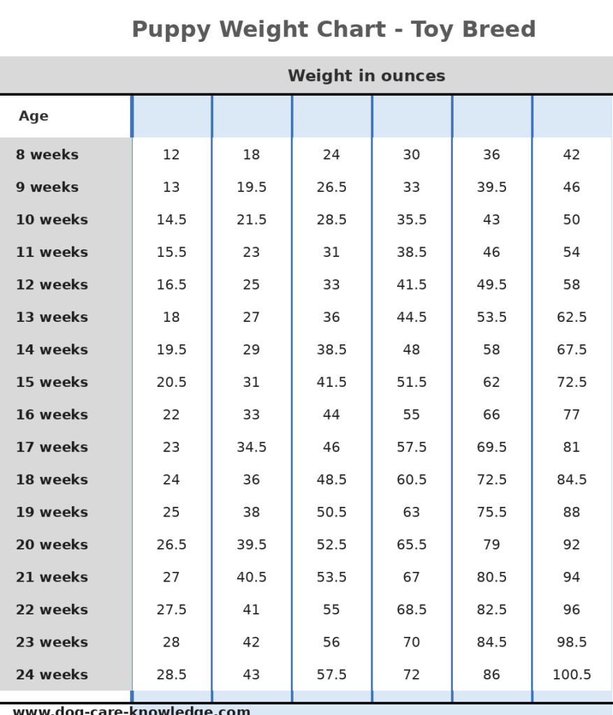 Puppy weight chart for toy breeds in ounces
