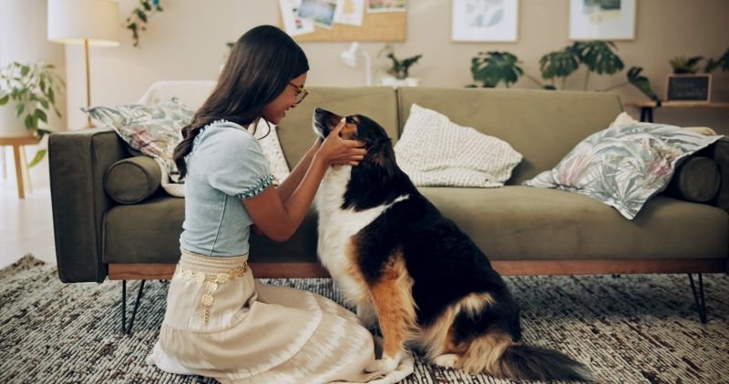 Owner checking their dog at home as part of a basic dog care routine to keep them healthy