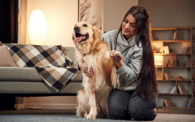 Owner checking their dog’s paw at home as part of a basic dog care routine