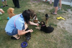 Ava meeting other puppies at a puppy socialization class