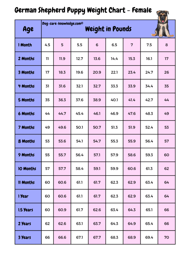 Female German Shepherd puppy weight chart by age in pounds