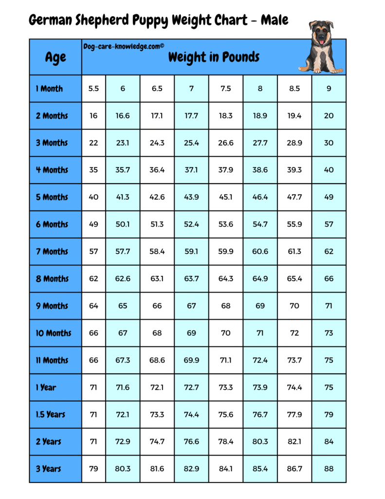 Male German Shepherd puppy weight chart by age in pounds