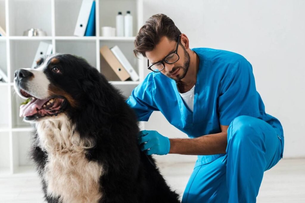 Veterinarian examining a dog for signs of dry or irritated skin.